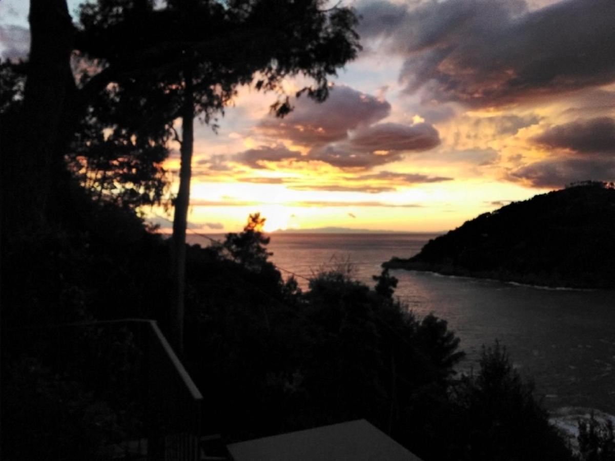 Villa Mimosa Splendida Vista Mare Бонассола Экстерьер фото